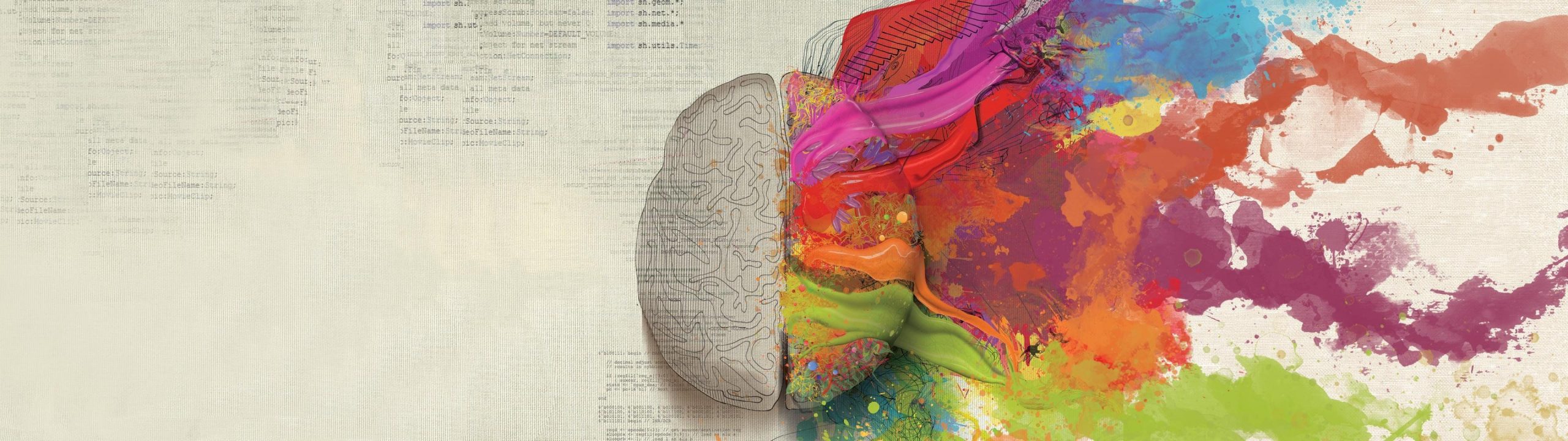 brain-5966095